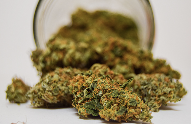 Screenshot-2022-09-29-at-8.04