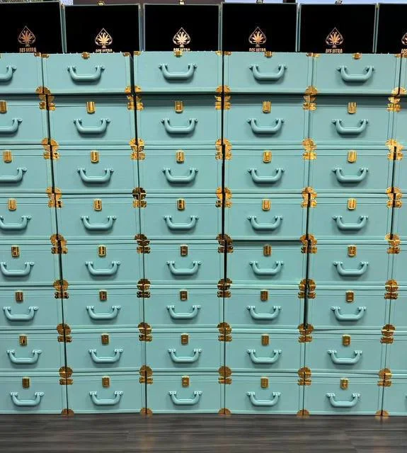 ACE ULTRA PREMIUM 4G Gen 2 Disposable Vape Minis (Master Box) - Image 2